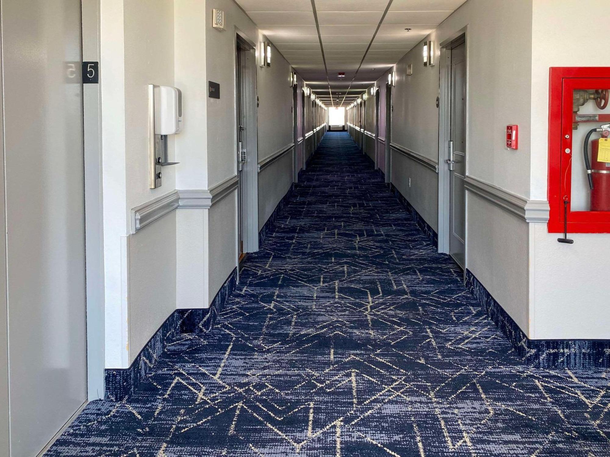 Mainstay Suites Conover-Hickory Bagian luar foto